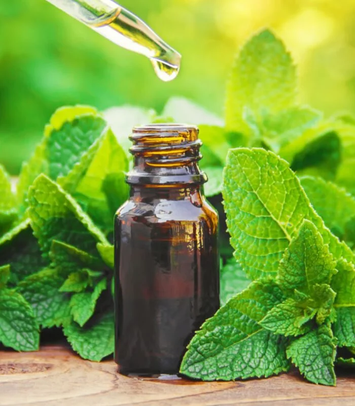 Peppermint Herbal Liniment - Image 2